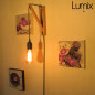 Système de fixation au mur réglable en bois pour lampe baladeuse