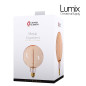 Ampoule E27 Globe 200 mm de diamètre à filament spirale métal