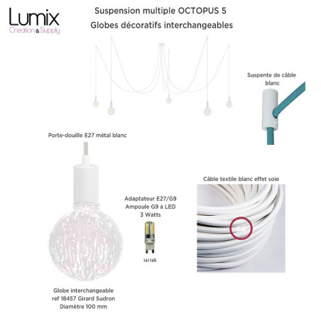 Commande privée Devis D1177 + 3 ampoules globes ref 16022