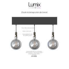 COMMANDE PRIVÉE - DEVIS D1181 + 3 AMPOULES GLOBES G200 LED VERRE TEINTÉ GRIS