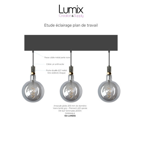 COMMANDE PRIVÉE - DEVIS D1181 + 3 AMPOULES GLOBES G200 LED VERRE TEINTÉ GRIS