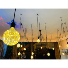 Ampoule Globe G95 LED Strip Happy In E27 1.5 W Finition Claire