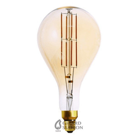 COMMANDE PRIVÉE - AMPOULE LED GEANTE FORME RONDE ET POIRE