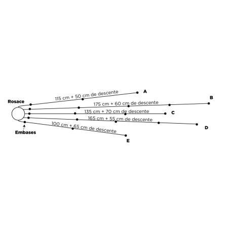 PRIVÉE : Luminaire sur-mesure 5 lampes multiple + ampoules led