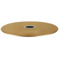 PRIVÉE PRO C2 : 2 Suspensions disque métal diamètre 30 cm couleur dorée PRIVÉE PRO C2 : 2 Suspensions disque métal diamètre 30 cm couleur dorée