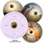 Applique Disque Photo Helios 2.0 personnalisable - Disque 40 cm Aluminium imprimé Applique Disque Photo Helios 2.0 personnalisable - Disque 40 cm Aluminium imprimé