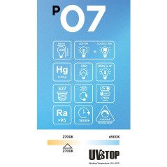 Ampoule LED en Porcelaine A60 12W E27 Dimmable 2700K-IRC95